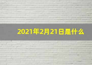 2021年2月21日是什么