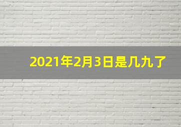 2021年2月3日是几九了