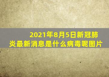 2021年8月5日新冠肺炎最新消息是什么病毒呢图片