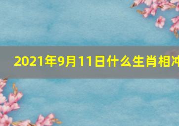 2021年9月11日什么生肖相冲