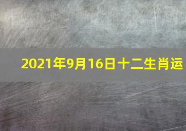 2021年9月16日十二生肖运