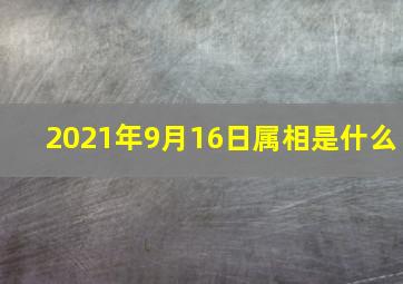 2021年9月16日属相是什么