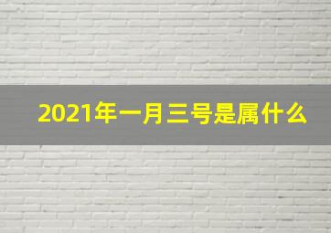 2021年一月三号是属什么