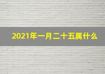 2021年一月二十五属什么