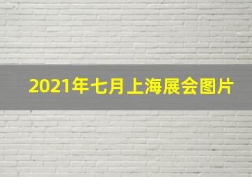 2021年七月上海展会图片