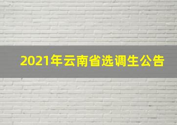 2021年云南省选调生公告