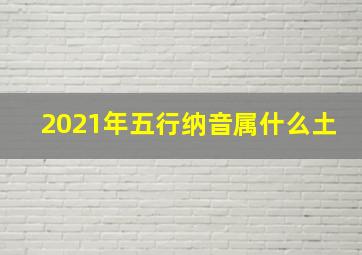 2021年五行纳音属什么土