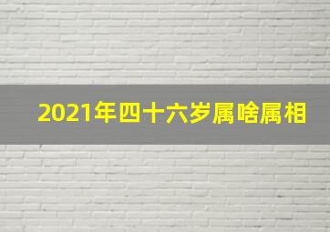 2021年四十六岁属啥属相