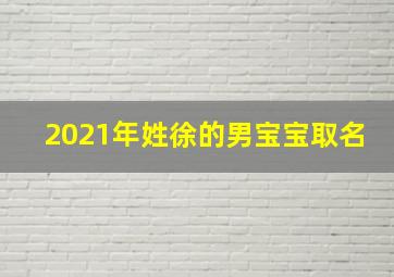 2021年姓徐的男宝宝取名