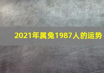 2021年属兔1987人的运势