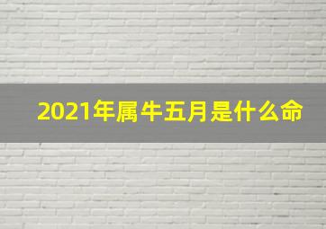 2021年属牛五月是什么命