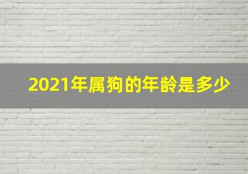 2021年属狗的年龄是多少