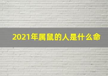 2021年属鼠的人是什么命