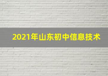 2021年山东初中信息技术