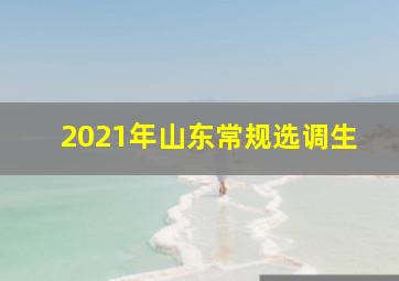 2021年山东常规选调生