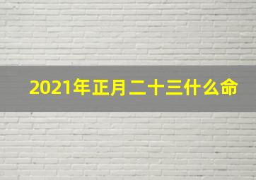 2021年正月二十三什么命