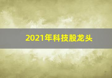 2021年科技股龙头