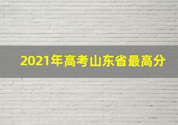 2021年高考山东省最高分