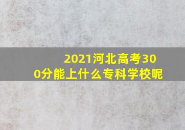 2021河北高考300分能上什么专科学校呢