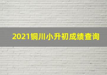 2021铜川小升初成绩查询