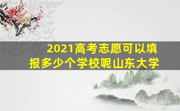 2021高考志愿可以填报多少个学校呢山东大学