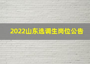 2022山东选调生岗位公告