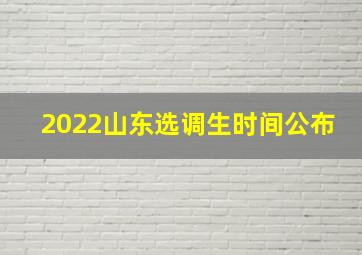 2022山东选调生时间公布