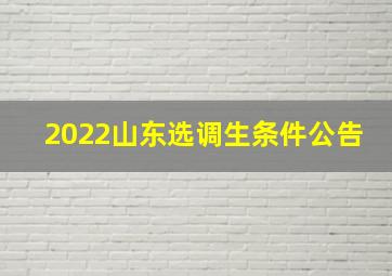 2022山东选调生条件公告