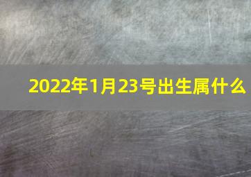 2022年1月23号出生属什么