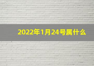 2022年1月24号属什么