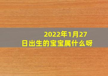 2022年1月27日出生的宝宝属什么呀