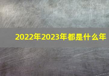 2022年2023年都是什么年