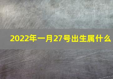 2022年一月27号出生属什么