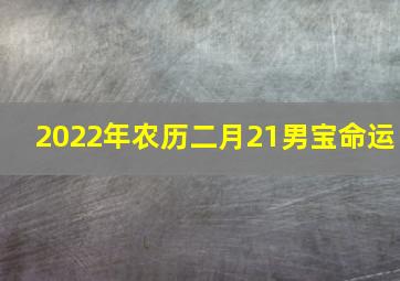 2022年农历二月21男宝命运