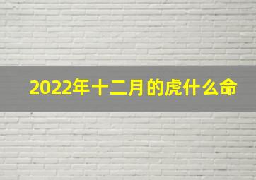 2022年十二月的虎什么命