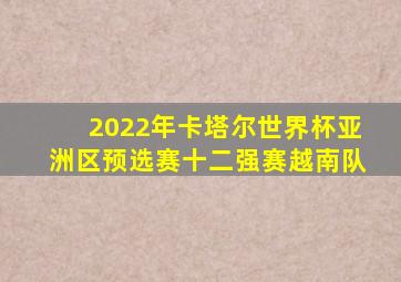 2022年卡塔尔世界杯亚洲区预选赛十二强赛越南队