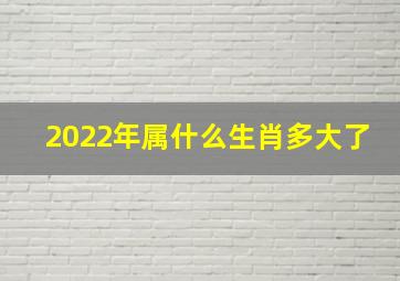 2022年属什么生肖多大了