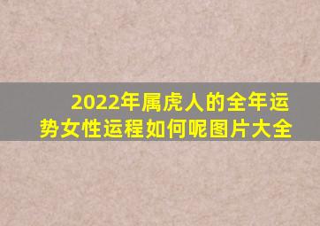 2022年属虎人的全年运势女性运程如何呢图片大全