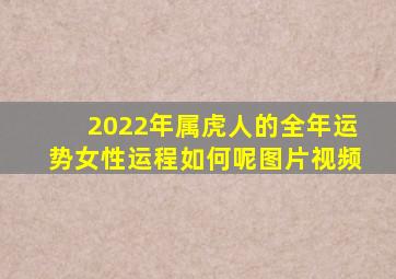 2022年属虎人的全年运势女性运程如何呢图片视频