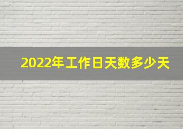 2022年工作日天数多少天