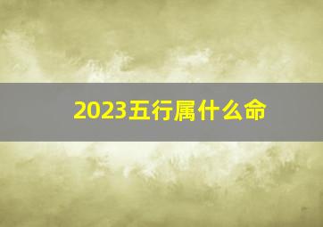 2023五行属什么命