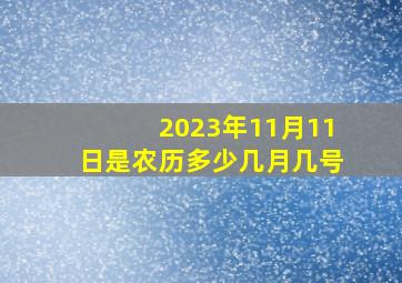 2023年11月11日是农历多少几月几号