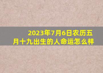 2023年7月6日农历五月十九出生的人命运怎么样