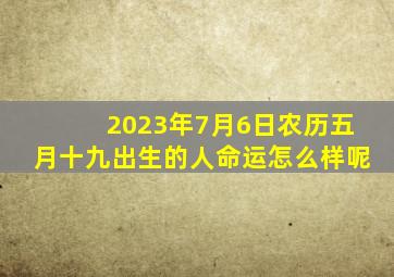 2023年7月6日农历五月十九出生的人命运怎么样呢