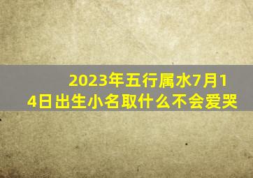 2023年五行属水7月14日出生小名取什么不会爱哭