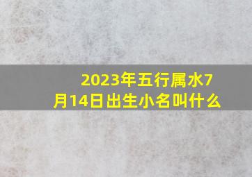 2023年五行属水7月14日出生小名叫什么