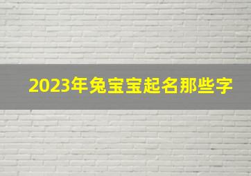 2023年兔宝宝起名那些字