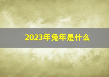 2023年兔年是什么