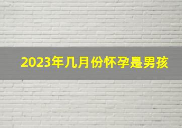 2023年几月份怀孕是男孩