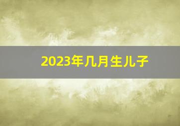 2023年几月生儿子